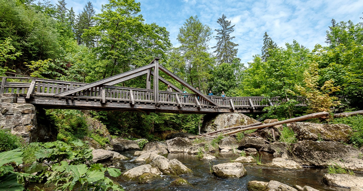 Große Brücke über steiniges Bachbett eines Flusses im Wald.