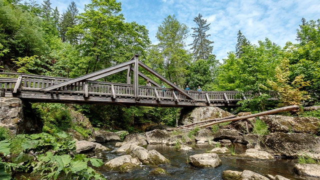 Große Brücke über steiniges Bachbett eines Flusses im Wald.