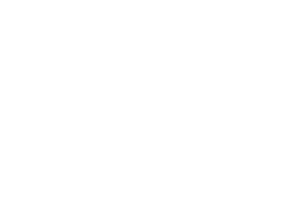 Digitaler_Hub_Region_Bonn_weiss.png