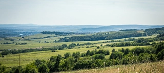 Rheingau Landschaft 