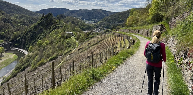 Wandernde Person neben Weinberg vor grüner Bergkulisse im Ahrtal.