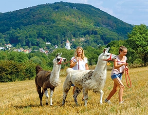 Routen_Top10Famillienwege_Bild5_(c)NürnbergerLandTourismus-ThomasGeiger