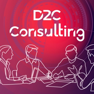 D2C-Consulting-Teaser-546x546.png