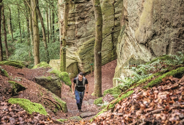 6.png Wanderer geht zwischen beeindruckenden Felsformationen