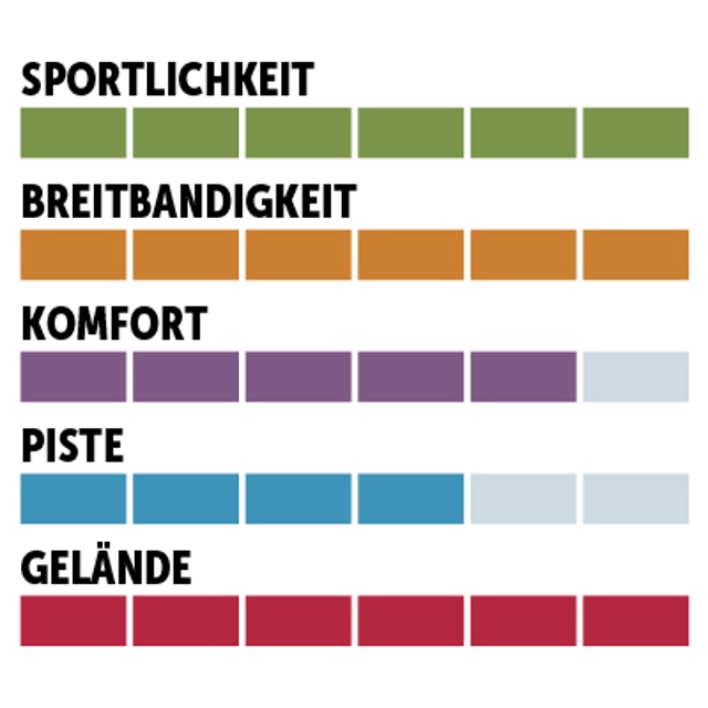 charaktersiegel_Völkl_Allmountain-Performance