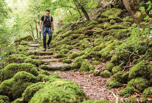 1.png Mann geht auf einem stufigen Wanderweg nach unten