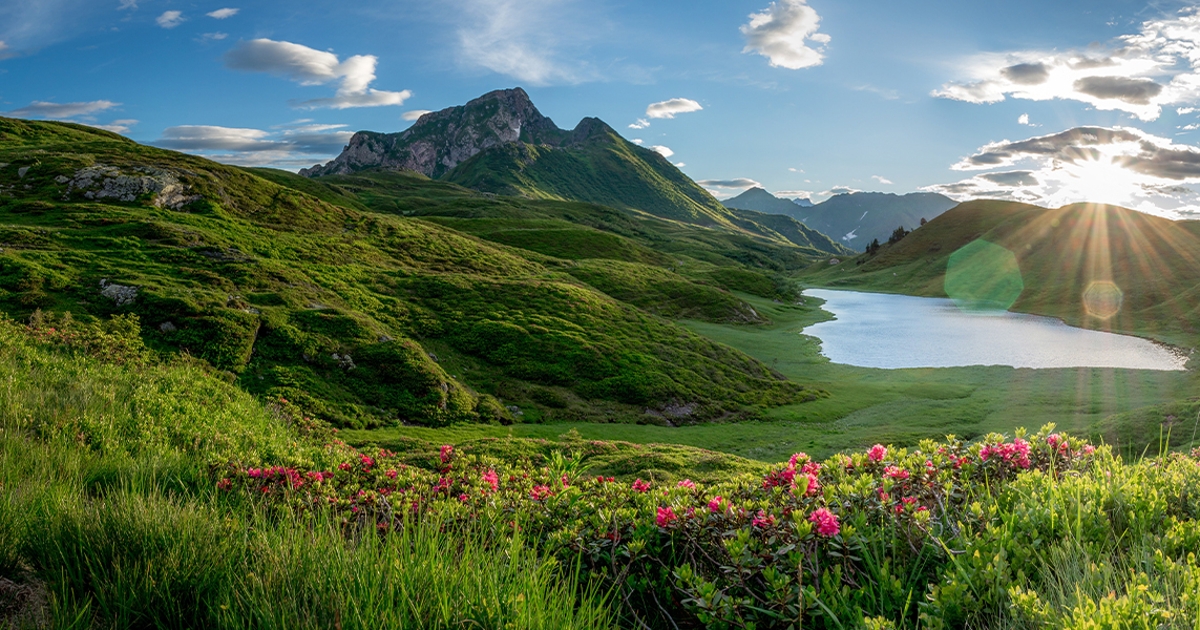 See inmitten einer grünen Berg- und Naturlandschaft in Kärnten.