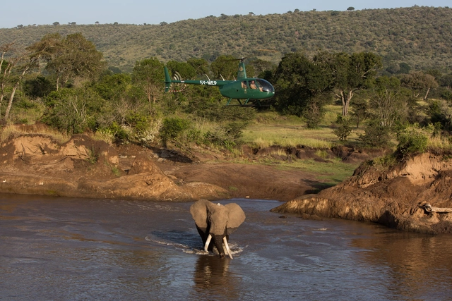 Mara Elephant Project