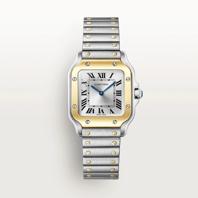 Santos de Cartier Santos de Cartier