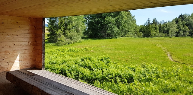 Ausblick auf Moor in Bregenzerwald