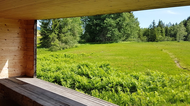 Naturphänomene_Moor_Hero_C-CorneliaKriegner-BregenzerwaldTourismus Ausblick auf Moor in Bregenzerwald