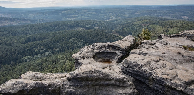 Blick auf die Landschaft rund um den Forststeig.