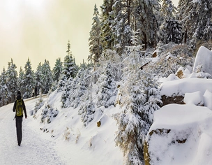 Wanderweg in verschneiter Winterlandschaft in Niedersachsen.