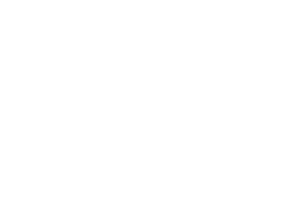german_techjobs_logo_weiss.png