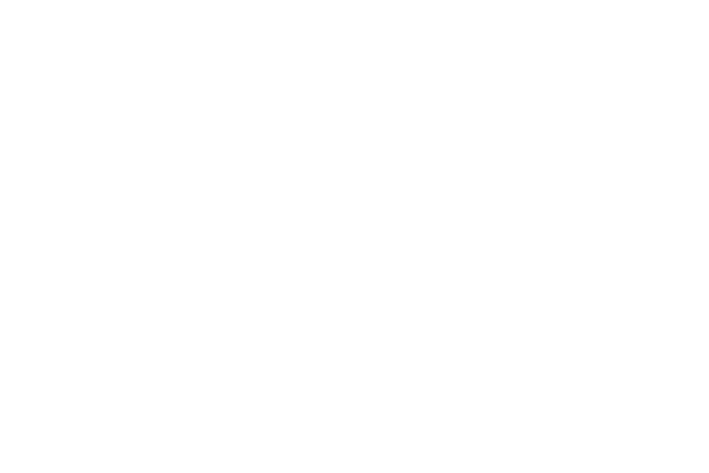 german_techjobs_logo_weiss.png