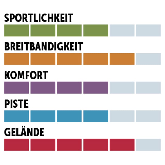 charaktersiegel_Dynastar_Woman-Allpiste