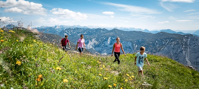 Mehrere Personen Wandern in grünen Bergwiesen.