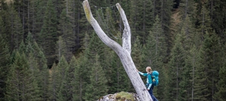 Eine Skulptur der Gauertaler Alpkultour im Montafon.