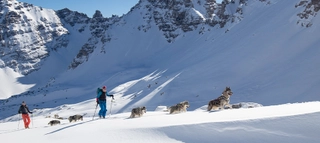 Skitourengeher und Huskys mit schneebedeckten Bergen im Hintergrund.
