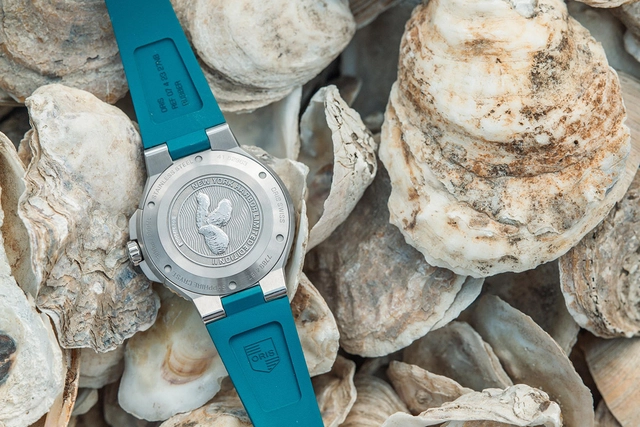 Oris Aquis Date New York Harbor Limited Edition II, Gehäuseboden vor Austerschalen
