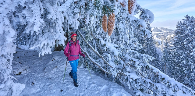 Eine Person beim Wandern in einer verschneiten Winterlandschaft in Balderschwang.