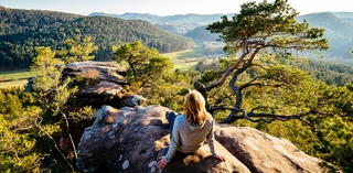 Frau sitzend auf großem Stein mit Blick auf die Pfälzerlandschaft