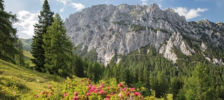 Berglandschaft in Kärnten