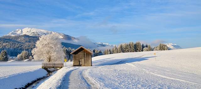 Ausblick auf schneebedeckte Winterlandschaft in Reit im Winkl.