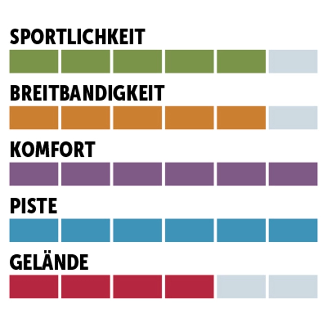 charaktersiegel_Völkl_Allpiste
