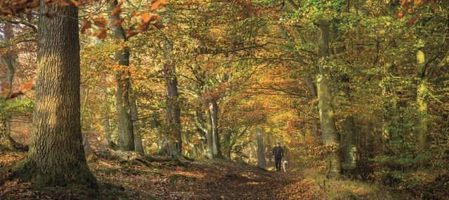 Wandern in der Edersee Region