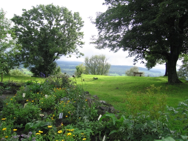 wandern_Top5-Sinnes-Wanderungen_Bild3_C-Ulrichstein_Vogelsberggarten-1