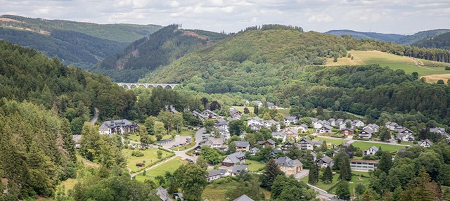 Ausblick auf mehrere Häuser und grüne Berglandschaft.