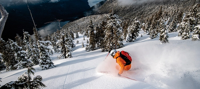 Skifahrer bei Abfahrt durch Tiefschnee zwischen Bäumen in Kanada.