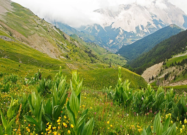 Wiesenlandschaft auf Hochebene mit Blick auf die Berge.