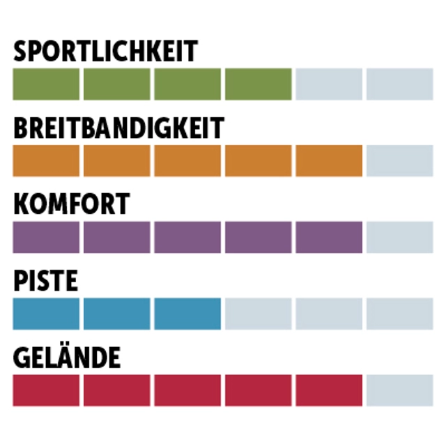 charaktersiegel_Dynastar_Allmountain-Performance