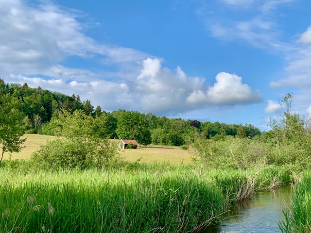 IMG_4481_Ramsach im Murnauer Moos © Wolfgang Stelljes.jpeg