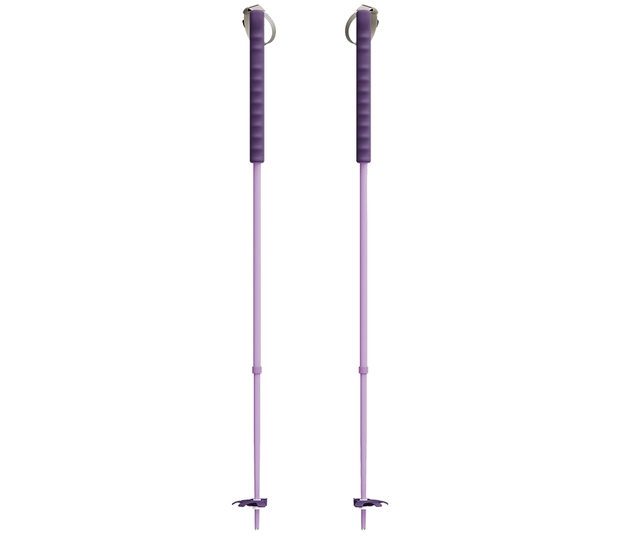 Tourenstock von Yardsale