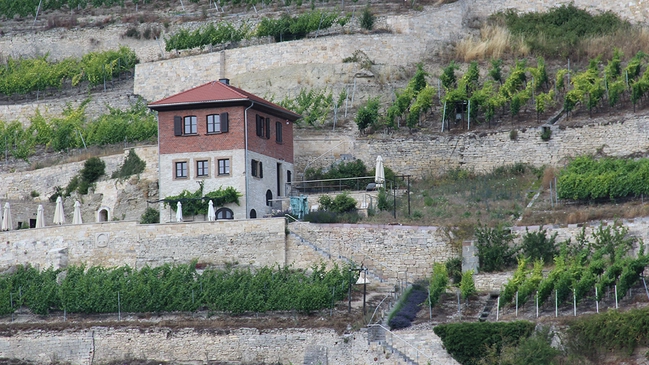 Routen_Saale-Unstrut_Hero_C-AlexaChrist Aufnahme eines Gebäudes an einem Berg.