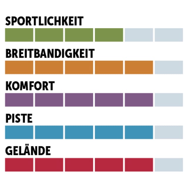 charaktersiegel_Dynastar_Allpiste