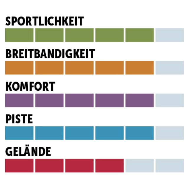 charaktersiegel_Dynastar_Allpiste