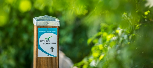 Wanderschild zu den Rheingau-Schleifen 