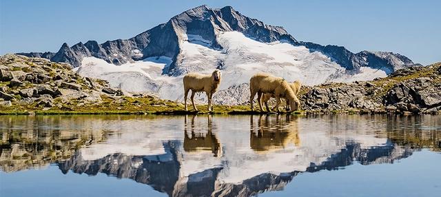 Advertorial_HoheTauern_Bild1_C-PeterMaier.png