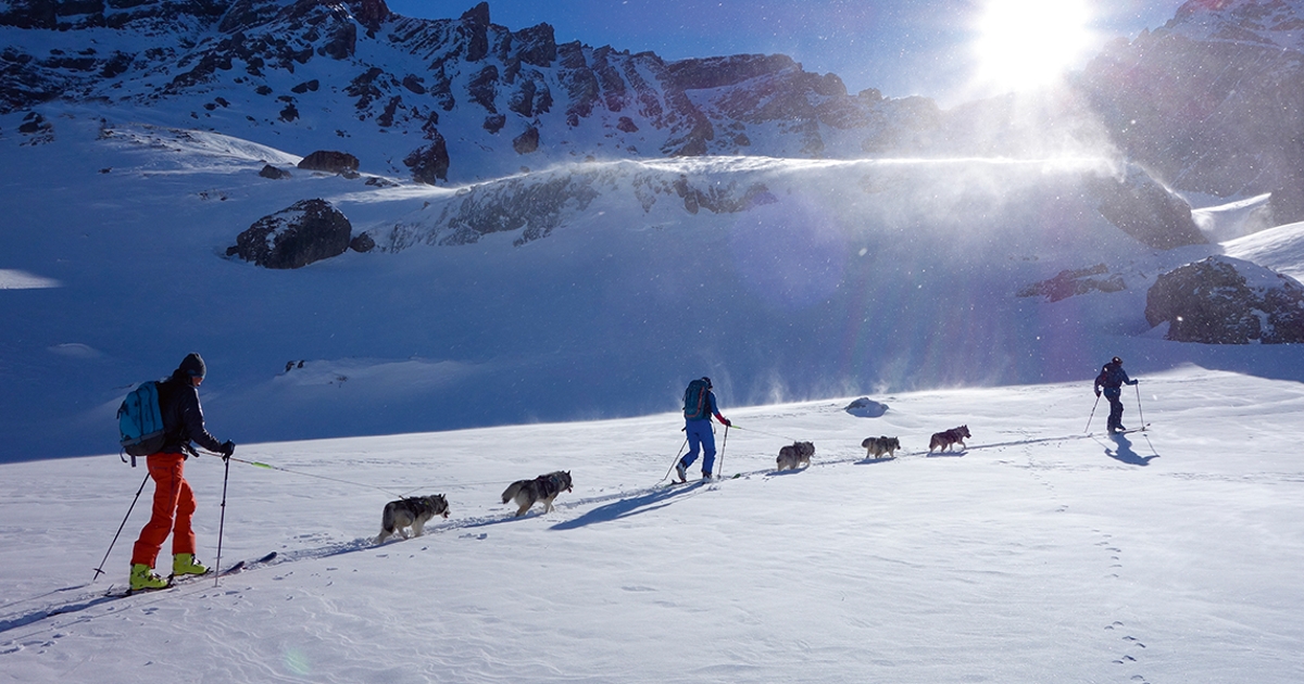 Skitourengeher mit Huskys vor verschneiten Bergen bei Sonnenschein.