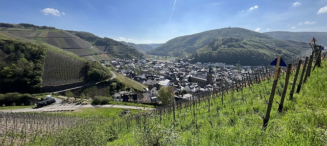 Ausblick auf grüne Bergkulisse und Weinberg im Ahrtal.