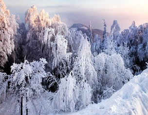 Verschneite Winterlandschaft in Hessen.