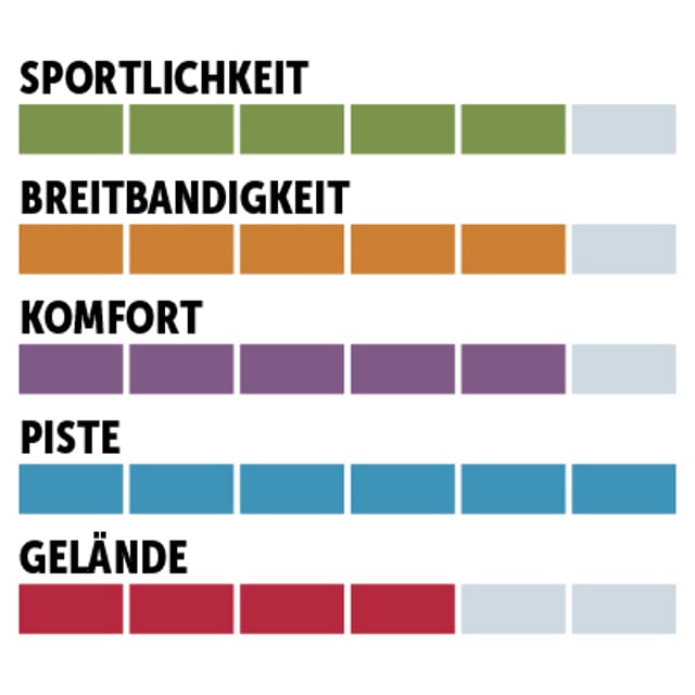 charaktersiegel_Völkl_Allpiste