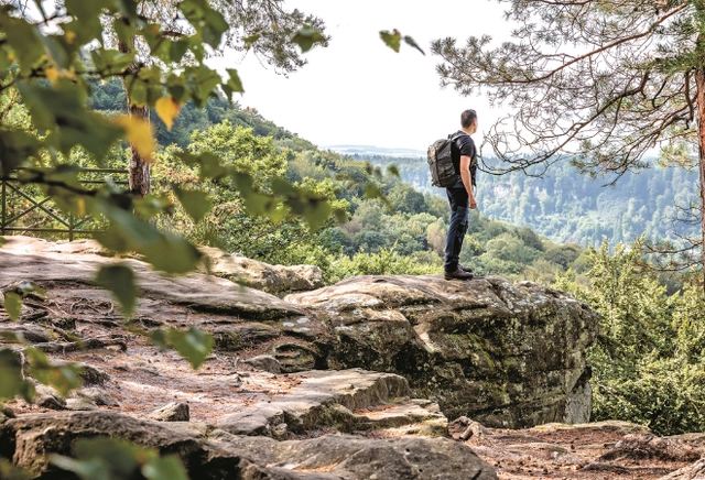 8.png Mann steht auf einer Steinplattform am Berg und schaut ins Tal