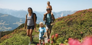 Panoramaweg Wiedersbergerhorn Alpbach Familie mit Almrosen Sommer
