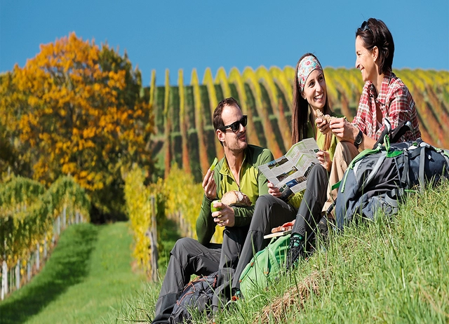 Personen sitzen in der Wiese in den Weinbergen, essen eine Kleinigkeit und lesen glücklich die Landkarte.