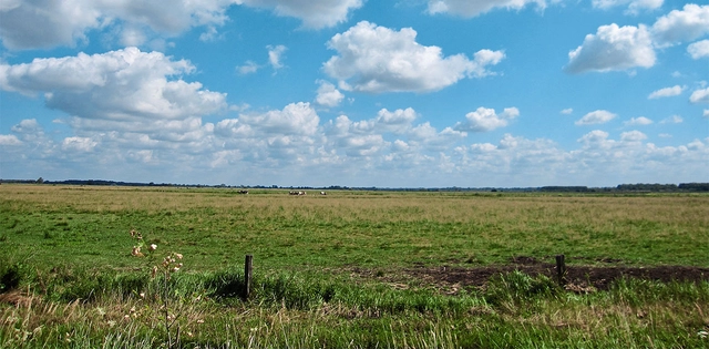 Landschaft in Worpswede